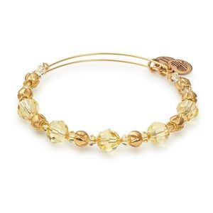 Alex and Ani Swarovski Beaded Bangle